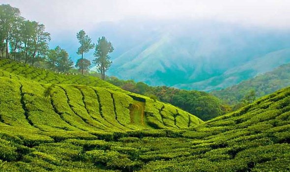 Tours and travels in Coimbatore