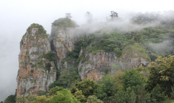 Tours and travels in Coimbatore